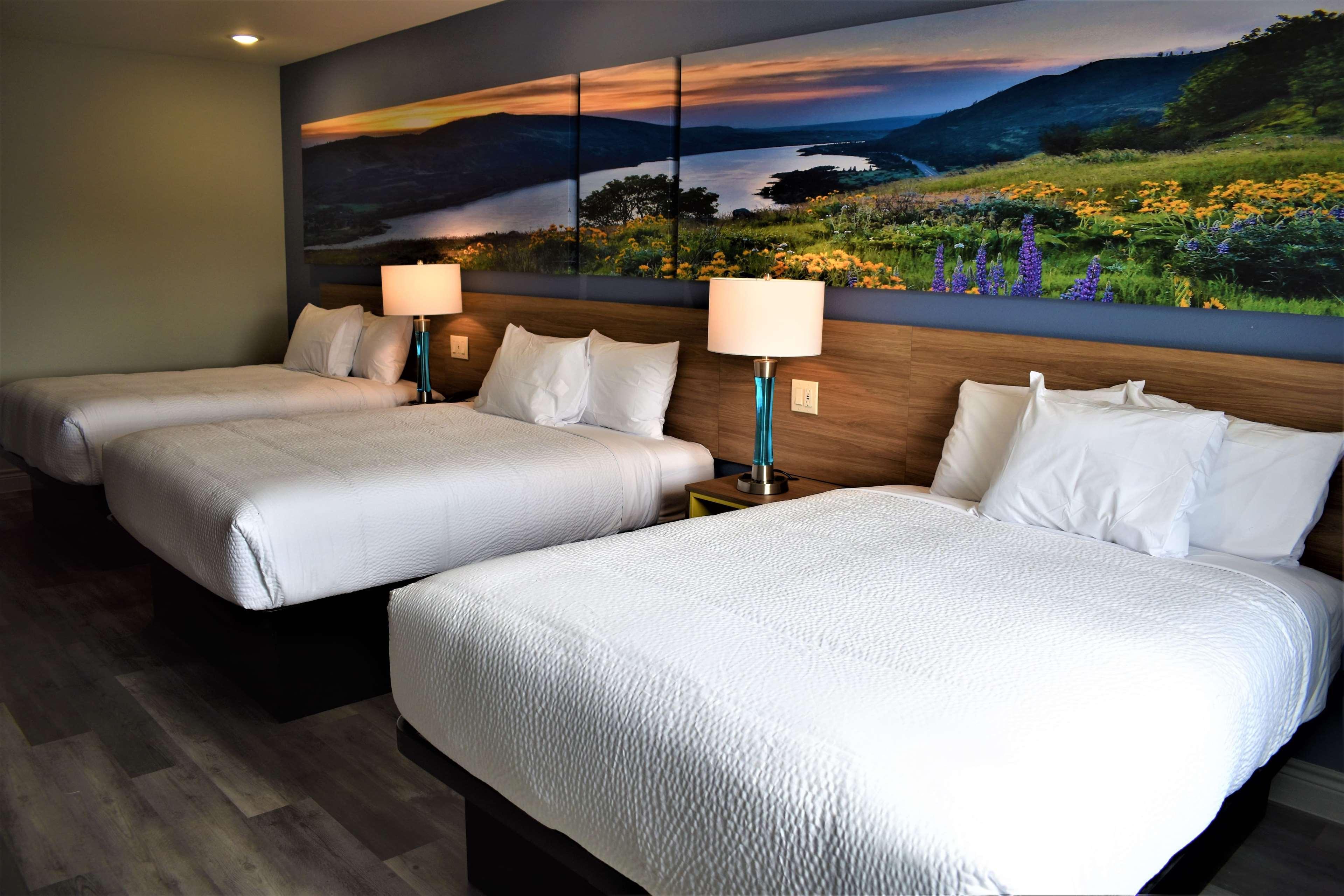 Days Inn & Suites By Wyndham Downtown/University Of Houston Eksteriør billede